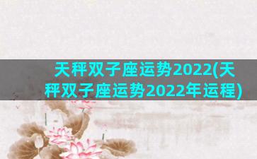天秤双子座运势2022(天秤双子座运势2022年运程)