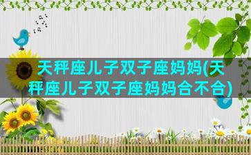 天秤座儿子双子座妈妈(天秤座儿子双子座妈妈合不合)