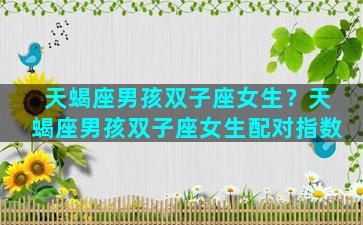 天蝎座男孩双子座女生？天蝎座男孩双子座女生配对指数