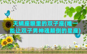 天蝎座眼里的双子座(唯一能让双子男神魂颠倒的星座)