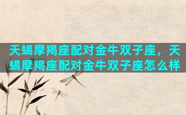 天蝎摩羯座配对金牛双子座，天蝎摩羯座配对金牛双子座怎么样