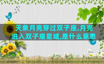 天象月亮穿过双子座,月亮进入双子座星域,是什么意思