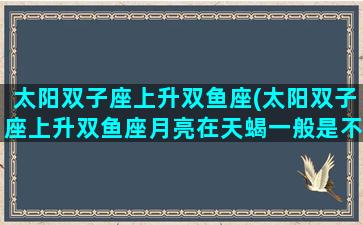 太阳双子座上升双鱼座(太阳双子座上升双鱼座月亮在天蝎一般是不是不记仇的)