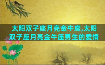 太阳双子座月亮金牛座,太阳双子座月亮金牛座男生的爱情