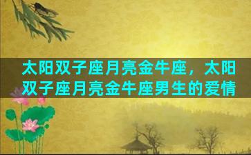 太阳双子座月亮金牛座，太阳双子座月亮金牛座男生的爱情