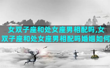 女双子座和处女座男相配吗,女双子座和处女座男相配吗婚姻如何