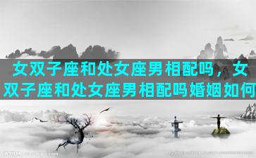 女双子座和处女座男相配吗，女双子座和处女座男相配吗婚姻如何