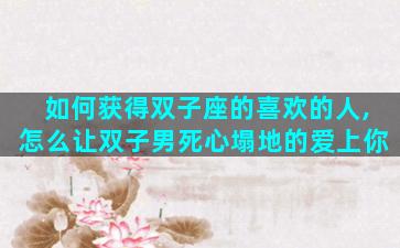 如何获得双子座的喜欢的人,怎么让双子男死心塌地的爱上你
