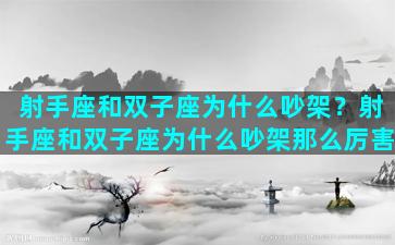 射手座和双子座为什么吵架？射手座和双子座为什么吵架那么厉害