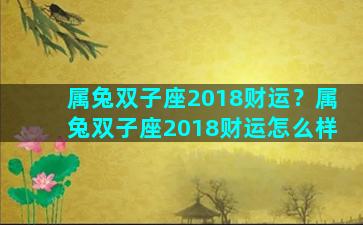 属兔双子座2018财运？属兔双子座2018财运怎么样