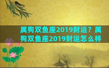属狗双鱼座2019财运？属狗双鱼座2019财运怎么样