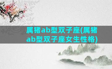 属猪ab型双子座(属猪ab型双子座女生性格)