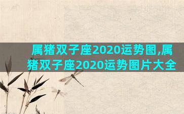 属猪双子座2020运势图,属猪双子座2020运势图片大全
