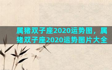 属猪双子座2020运势图，属猪双子座2020运势图片大全