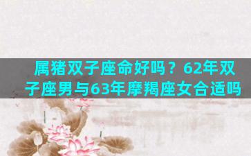 属猪双子座命好吗？62年双子座男与63年摩羯座女合适吗