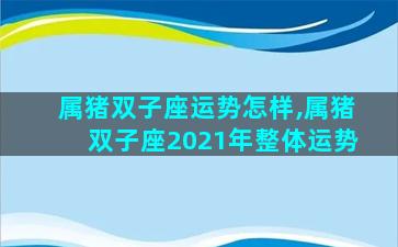 属猪双子座运势怎样,属猪双子座2021年整体运势