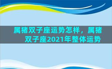 属猪双子座运势怎样，属猪双子座2021年整体运势