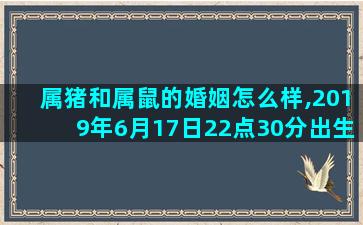 属猪和属鼠的婚姻怎么样,2019年6月17日22点30分出生属什么