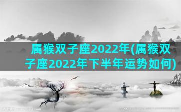 属猴双子座2022年(属猴双子座2022年下半年运势如何)