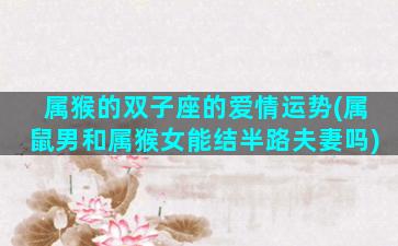 属猴的双子座的爱情运势(属鼠男和属猴女能结半路夫妻吗)