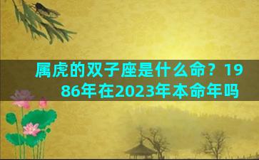 属虎的双子座是什么命？1986年在2023年本命年吗