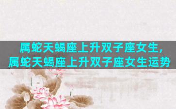 属蛇天蝎座上升双子座女生,属蛇天蝎座上升双子座女生运势