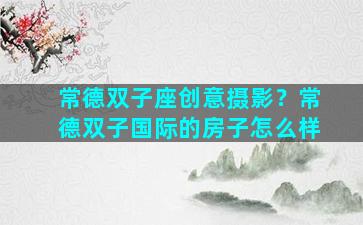 常德双子座创意摄影？常德双子国际的房子怎么样