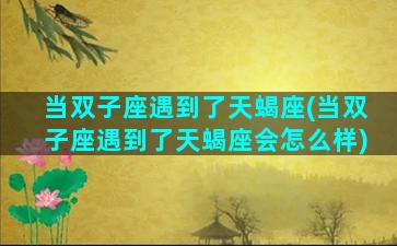 当双子座遇到了天蝎座(当双子座遇到了天蝎座会怎么样)