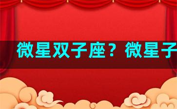微星双子座？微星子品牌