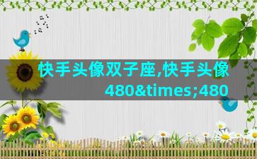 快手头像双子座,快手头像480×480