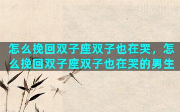 怎么挽回双子座双子也在哭，怎么挽回双子座双子也在哭的男生