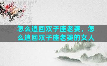 怎么追回双子座老婆，怎么追回双子座老婆的女人