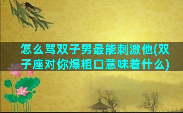 怎么骂双子男最能刺激他(双子座对你爆粗口意味着什么)