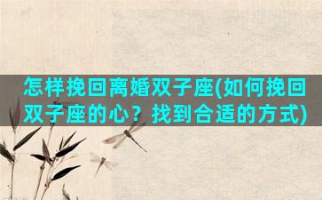怎样挽回离婚双子座(如何挽回双子座的心？找到合适的方式)