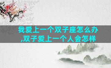 我爱上一个双子座怎么办,双子爱上一个人会怎样
