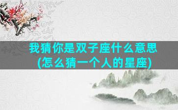 我猜你是双子座什么意思(怎么猜一个人的星座)