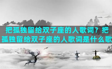 把孤独留给双子座的人歌词？把孤独留给双子座的人歌词是什么歌