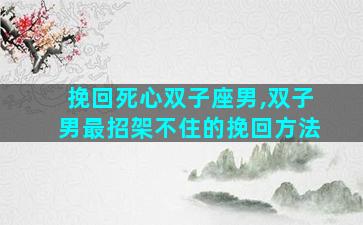 挽回死心双子座男,双子男最招架不住的挽回方法