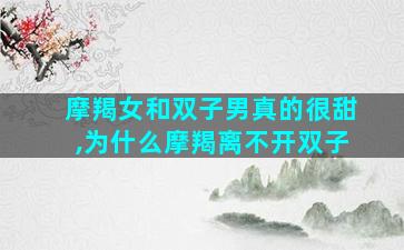 摩羯女和双子男真的很甜,为什么摩羯离不开双子