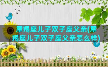 摩羯座儿子双子座父亲(摩羯座儿子双子座父亲怎么样)