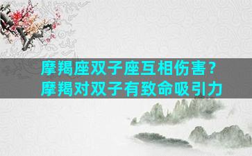 摩羯座双子座互相伤害？摩羯对双子有致命吸引力