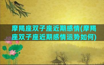 摩羯座双子座近期感情(摩羯座双子座近期感情运势如何)