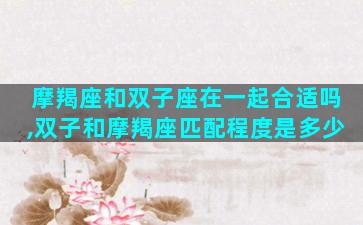 摩羯座和双子座在一起合适吗,双子和摩羯座匹配程度是多少