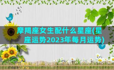 摩羯座女生配什么星座(星座运势2023年每月运势)