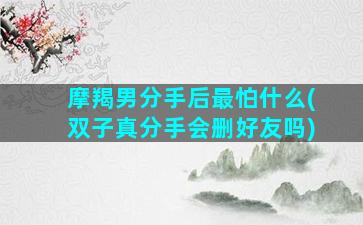摩羯男分手后最怕什么(双子真分手会删好友吗)