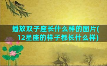 播放双子座长什么样的图片(12星座的样子都长什么样)