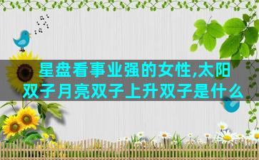 星盘看事业强的女性,太阳双子月亮双子上升双子是什么