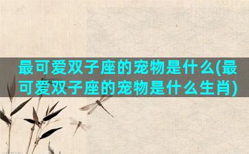 最可爱双子座的宠物是什么(最可爱双子座的宠物是什么生肖)