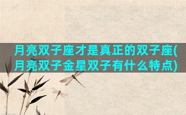月亮双子座才是真正的双子座(月亮双子金星双子有什么特点)