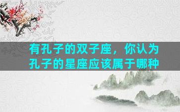有孔子的双子座，你认为孔子的星座应该属于哪种